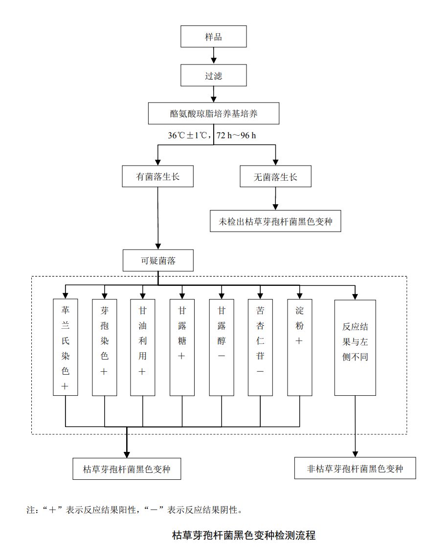 检测水中灭菌生物指示物（枯草芽孢杆菌黑色变种）的具体方法