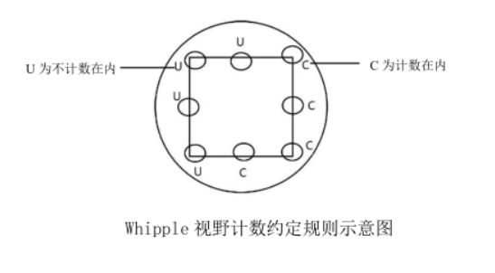 精准检测地表水中浮游植物的方法