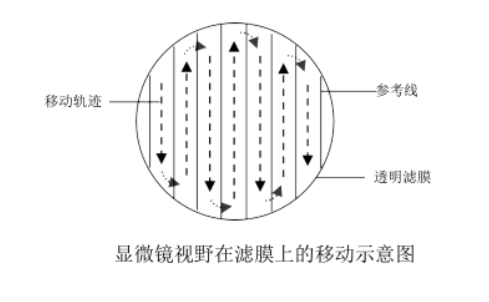 精准检测地表水中浮游植物的方法