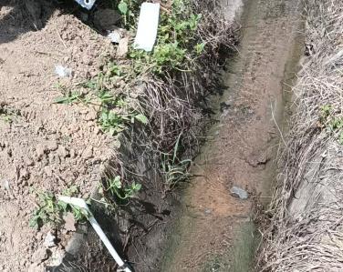 安徽某市农田水渠水质在线监测项目